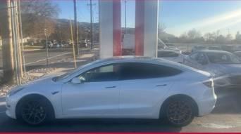 TESLA MODEL 3 2020 5YJ3E1EB0LF665758 image